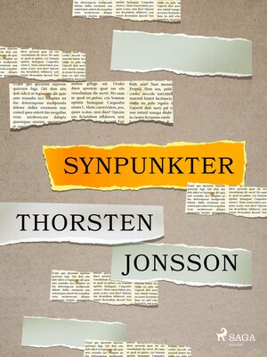 cover image of Synpunkter